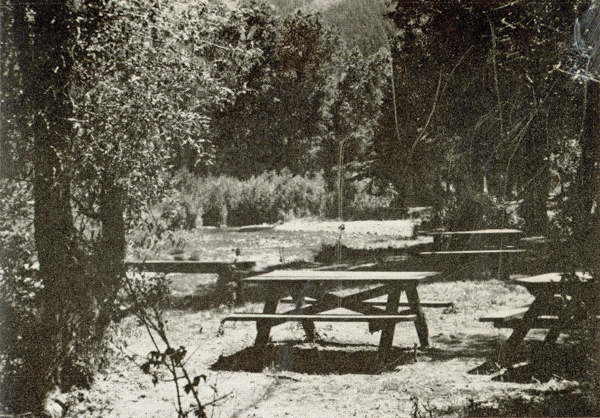 Three wooden picnic tables are situated outdoors in a natural setting with trees and foliage surrounding them. The ground appears sandy or bare, and sunlight filters through the tree canopy. There are no people visible in the scene.