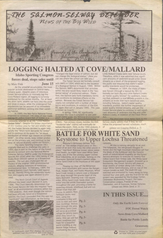 8 pages, newspaper