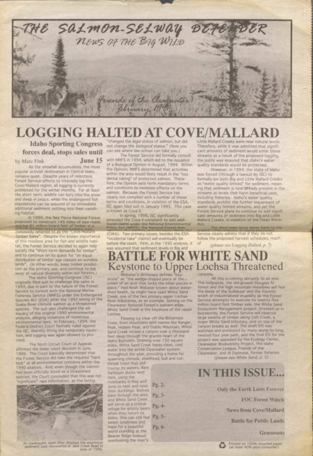 8 pages, newspaper