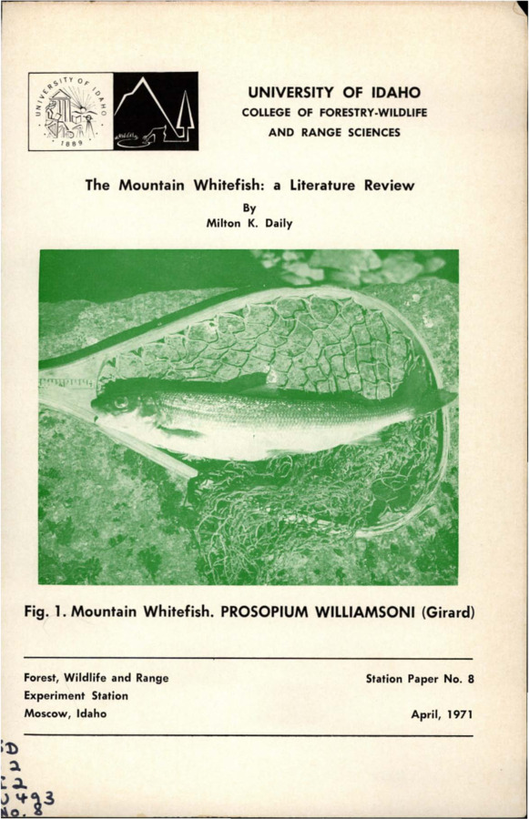 This paper seeks to consolidate information about the mountain whitefish, particularly aspects neglected by many researchers such as reproduction, early development, interspecific relationships, and behavior.