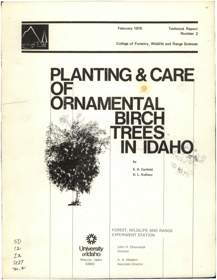 The report discusses the planting of white-stemmed birch trees, how to care for them, and potential threats to their welfare.