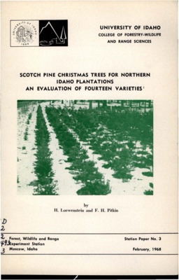 This paper describes a study evaluating fourteen strains of Scotch pine regarding characteristics associated with Christmas tree quality.