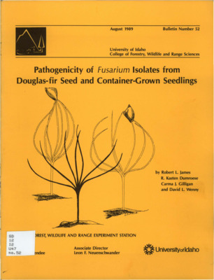 Twenty Fusarium isolates from Douglas-fir (Pseudotsuga menziesii var. glauca [Beissn.] Franco) seed and seedlings were evaluated for their effects on Douglas-fir seed germination, post-emergence damping-off, and seedling root disease.  Inoculum consisting of perlite: cornmeal colonized with fungal isolates was mixed into peat: vermiculite growing medium then seed was sown or seedlings transplanted into the mixture.  A wide range of virulence occurred in populations of Fusarium isolated from Douglas-fir.  Several isolates were consistently the more virulent.  As a group, F.oxysporum isolates were more virulent that F. 'roseum' isolates, although some F. oxysporum isolates were quite virulent.  Test isolates of F. sambucinum were not virulent.  Both source of isolation (healthy versus diseased seed or seedlings) and species of Fusarium were unreliable predictors of potential virulence.
