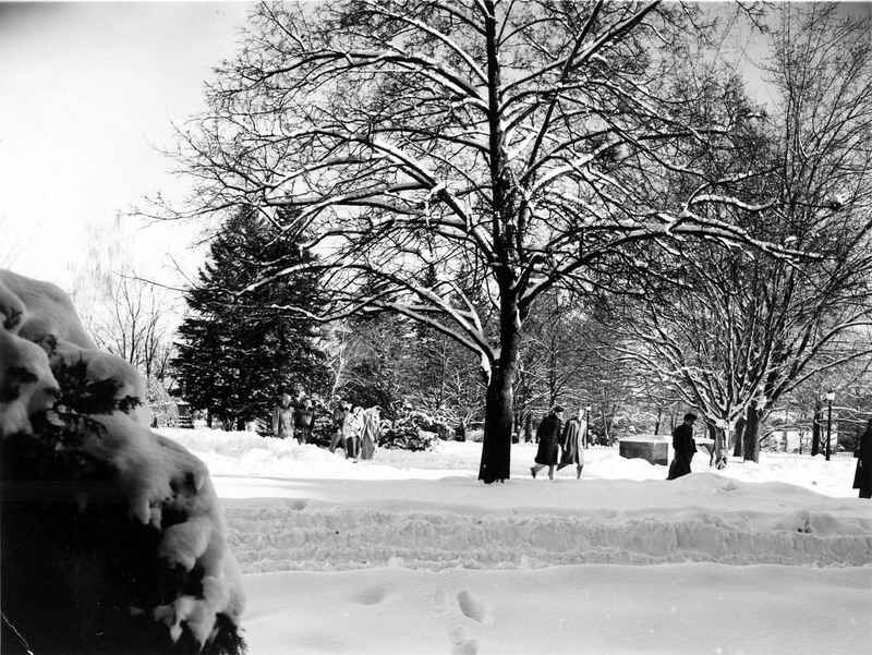 Students walking through a snowy landscape on campus.