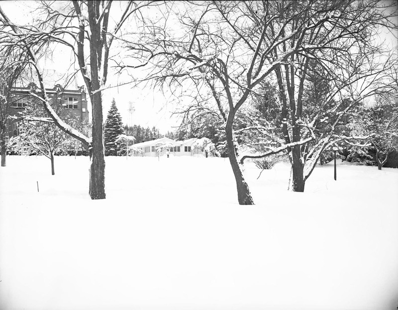 A snowy field with trees on University of Idaho campus, institutional buildings and the U of I watertower can be seen in the background.