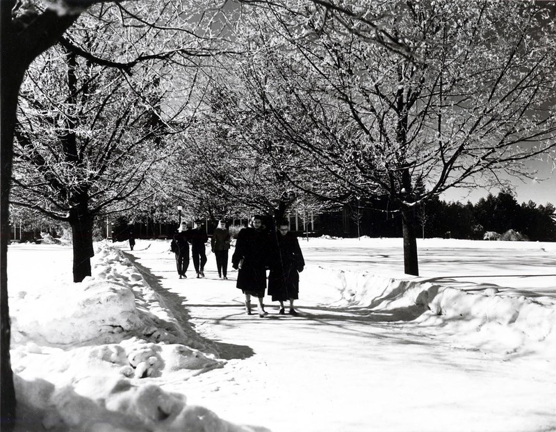Students walking through a snowy path on campus.