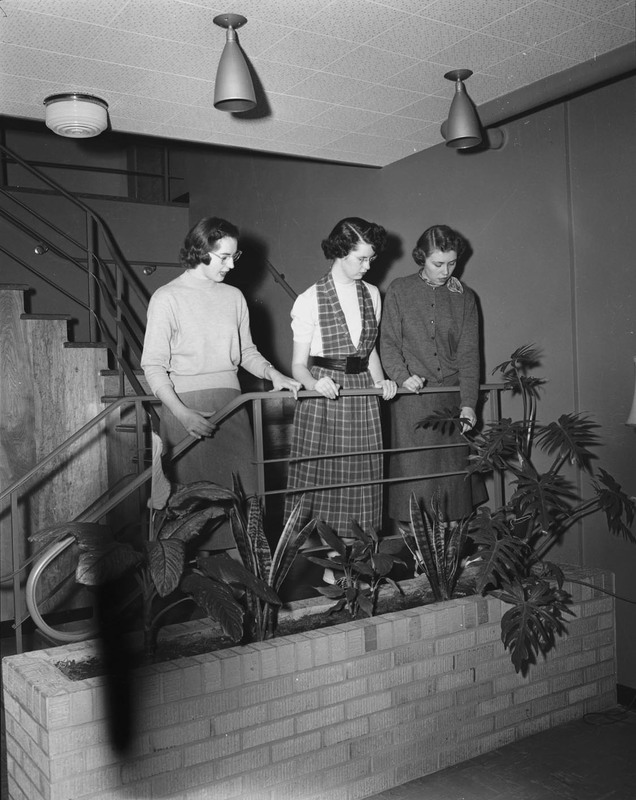 Three female students standing on the stairs in the Ethel Steel House. The Ethel Steel House was built in 1953, named after University of Idaho Regent Ethel Steel, as a housing option for women.