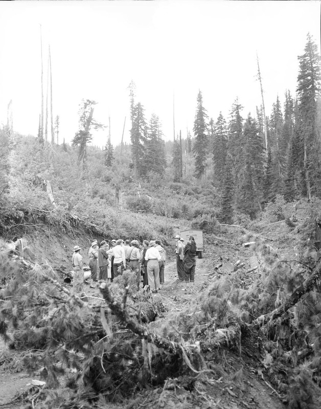 Students walk through a logged area in the woods.