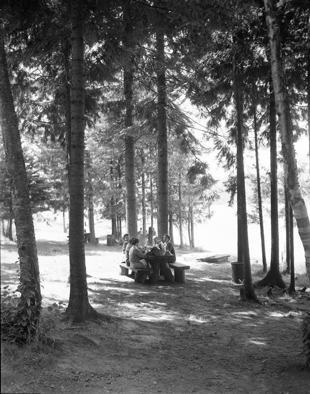 Students picnic in the woods at a summer school barbeque.
