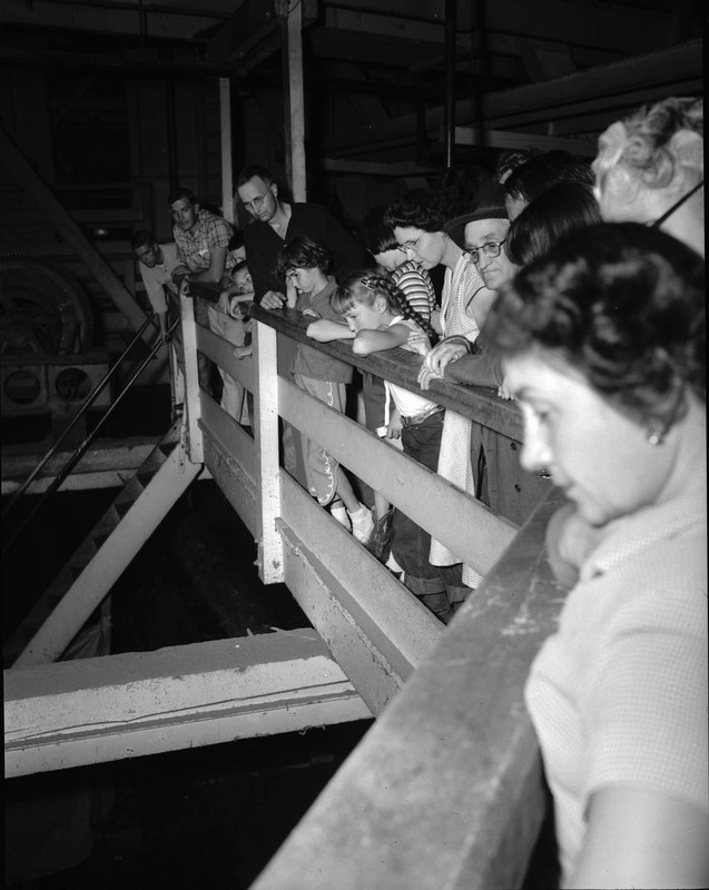 People standing on a catwalk during a tour of the sawmill.