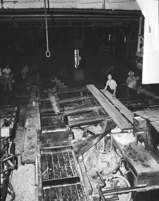 A photograph overlooking a sawmill, people can be seen operating the machinery.