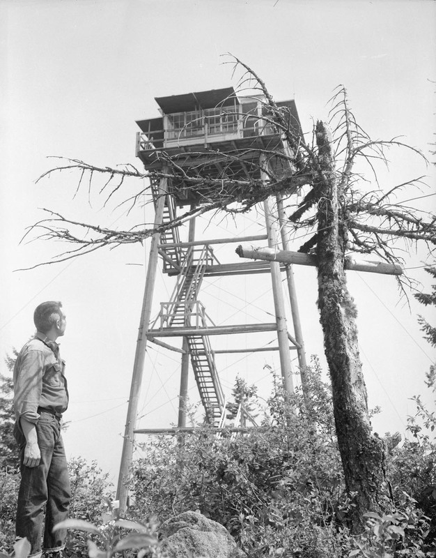 College of Forestry student at Moscow Mountain lookout.
