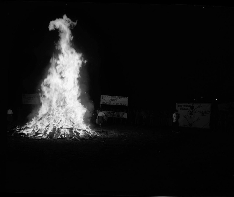 Students gather at Homecoming bonfire and rally. There are signs that read (l-r)"make WSC drag their (picture of a donkey)'s home with defeat", "cage the cougars", and "Keep smiling cougar" with an image of a cougar whose been shot with arrows.