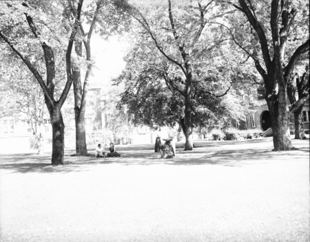 Students sitting out on the campus lawn. Buildings can be seen in the background.
