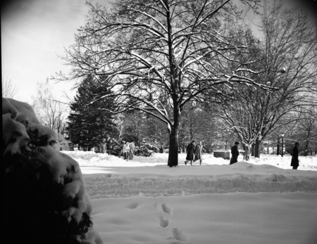 Students walking through a snowy landscape on campus.