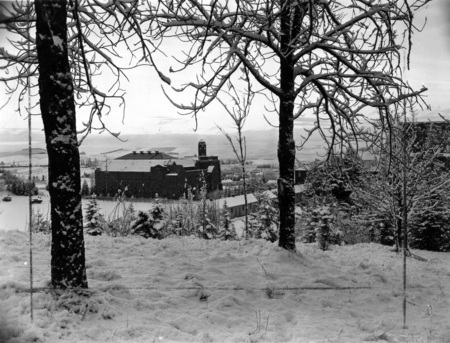 An aerial view of the Memorial Gym in winter, framed by trees.