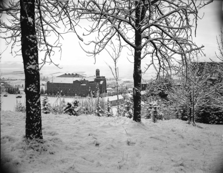 An aerial view of the Memorial Gym in winter, framed by trees.