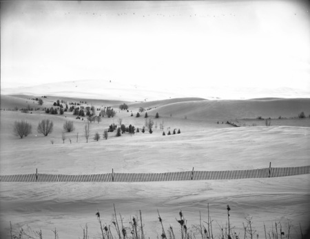 A landscape photograph of snowy hills in Moscow.
