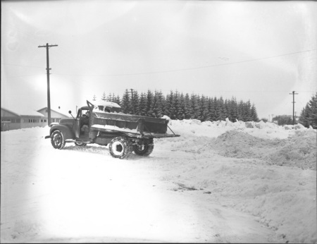 A photograph of a dump truck with the tail down and the driver looking out through the open truck door