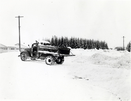 A photograph of a dump truck with the tail down and the driver looking out through the open truck door