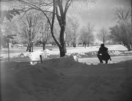 A person squatting on a snowy path through the Administration lawn during winter.