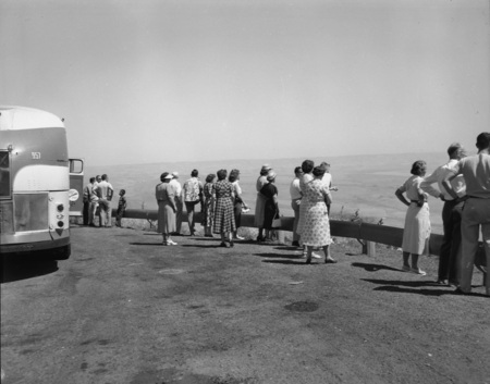 Summer school hiking class overlooking a view at a road stop.