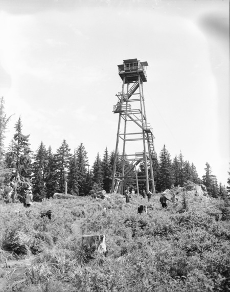 Summer hiking class held in a scenic wooded area, people can be seen on the hillside.