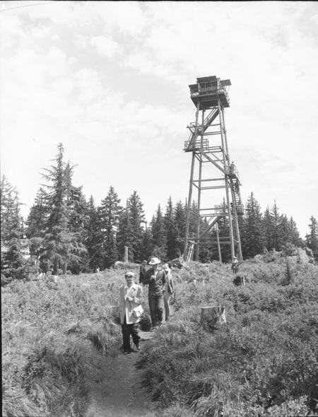 Summer hiking class held in a scenic wooded area, people can be seen on the hillside.