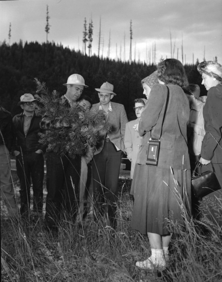 Students examine a pine sapling during a summer hiking class.