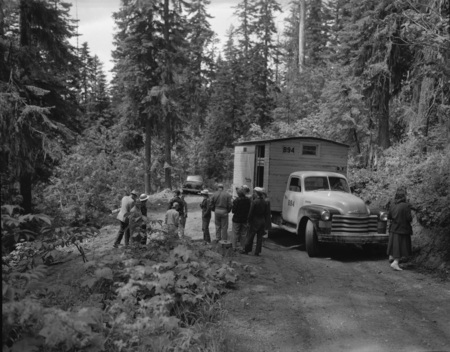 Students hike in a wooded area.