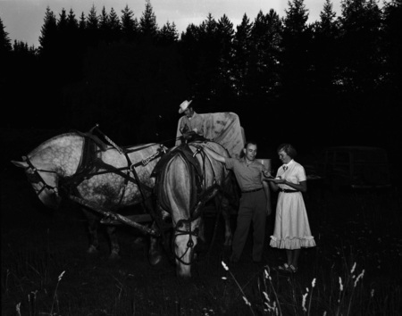 Students sitting posing with horses hitched to a wagon.