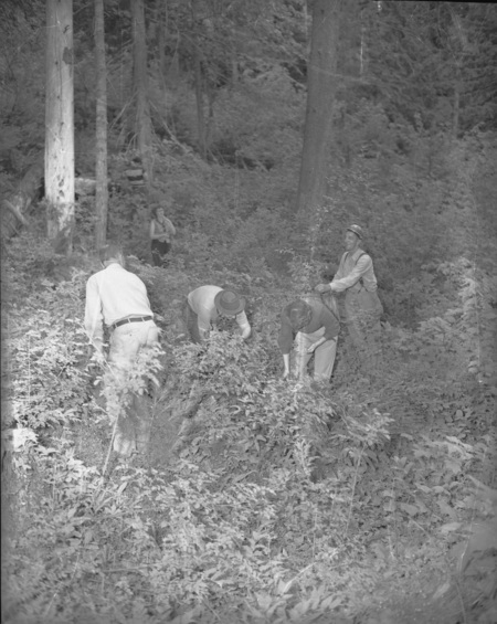 Students hiking for summer hiking class.