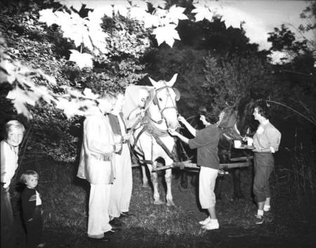 Students pet horses hitched up to a wagon.