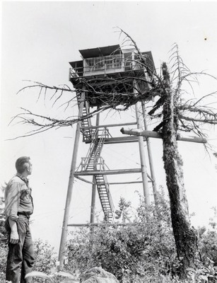 College of Forestry student at Moscow Mountain lookout.