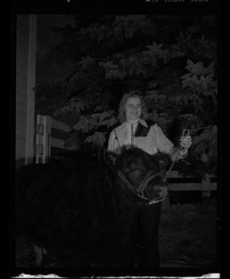 College of Agriculture student Sonja Carlson, second female graduate in animal husbandry, showing a cow.