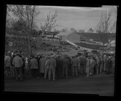 Members of the Idaho Cattlemen's Association stand along the fence of a cattle pen.