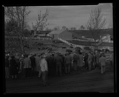 Members of the Idaho Cattlemen's Association stand along the fence of a cattle pen.