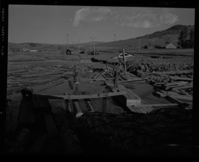 University of Idaho College of Forestry field trip to mill pond.