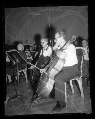 Cello players in the symphony orchestra practice together.