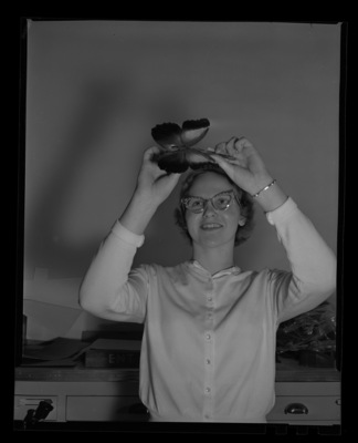 Pat Gleason with butterfly collection in entomology laboratory.