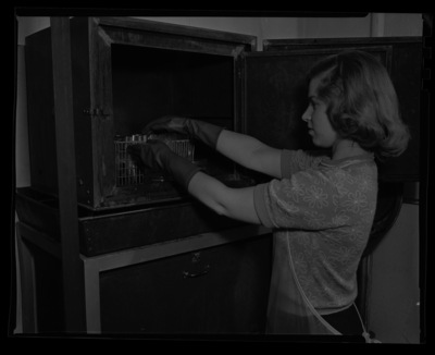 Bonnie Barney sterilizes equipment in the plant pathology laboratory.