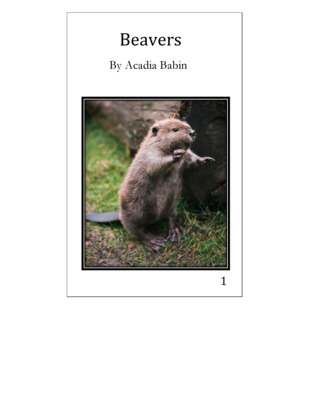 Beavers