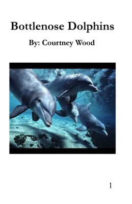 Bottlenose Dolphins