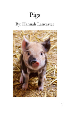 informational text about pigs