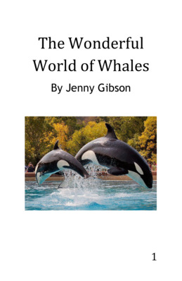 Third grade level informational text about whales.