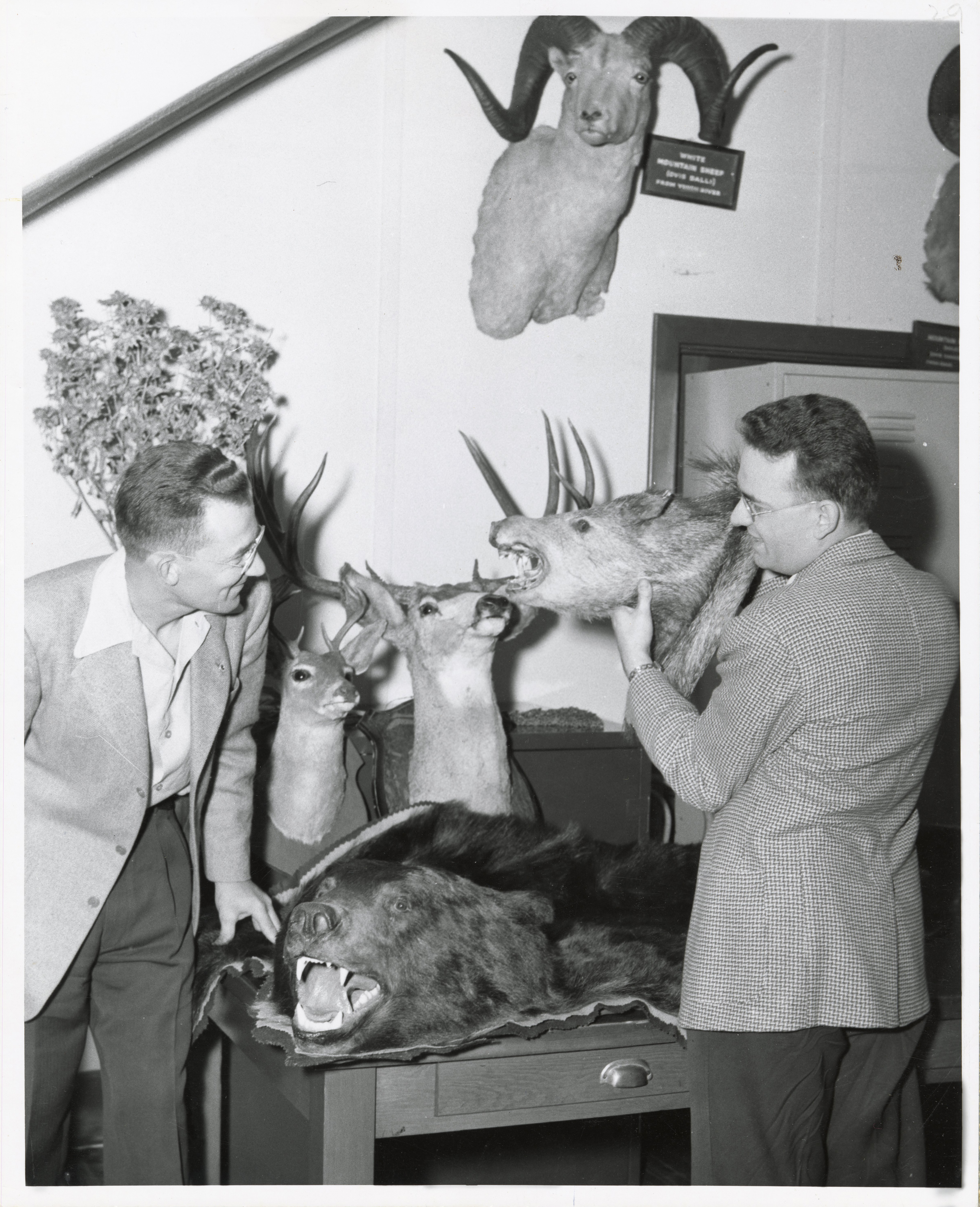 Preview image for Idaho's Wildlife History Through Kenneth E. Hungerford Collection