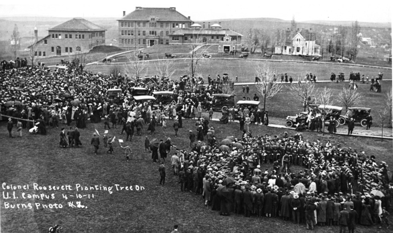 Colonel Roosevelt Planting Tree on U.I. Campus