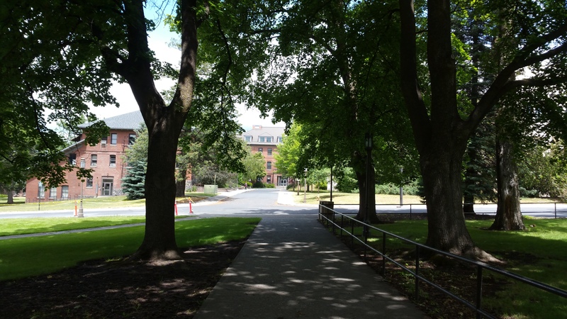 University Avenue and Pine Street