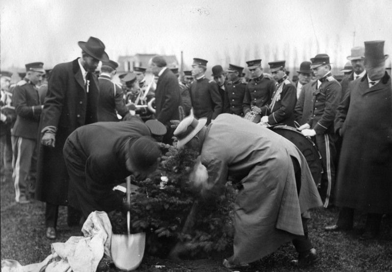 Theodore Roosevelt's tree planting