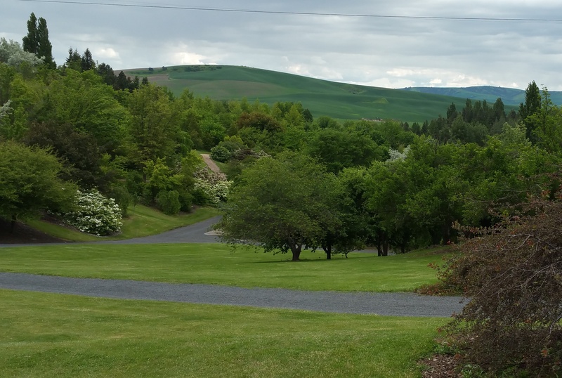 University of Idaho Arboretum and Botanical Gardens